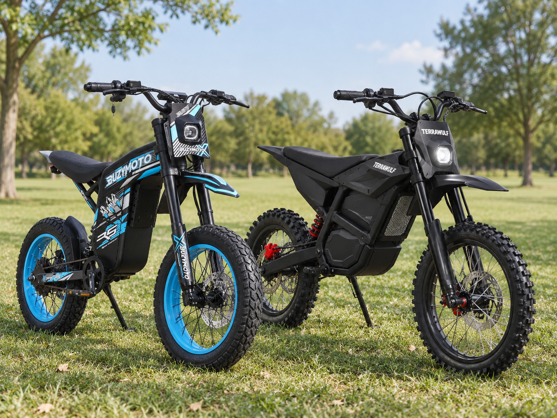 60V Electric Dirt Bikes in 2026: Price, Performance and Different Ways to Ride